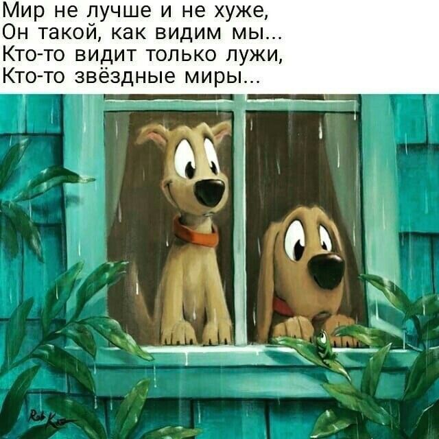 Мир не лучше и не хуже Он такой как видим мы Кто то видит только лужи Ктото звёздные миры