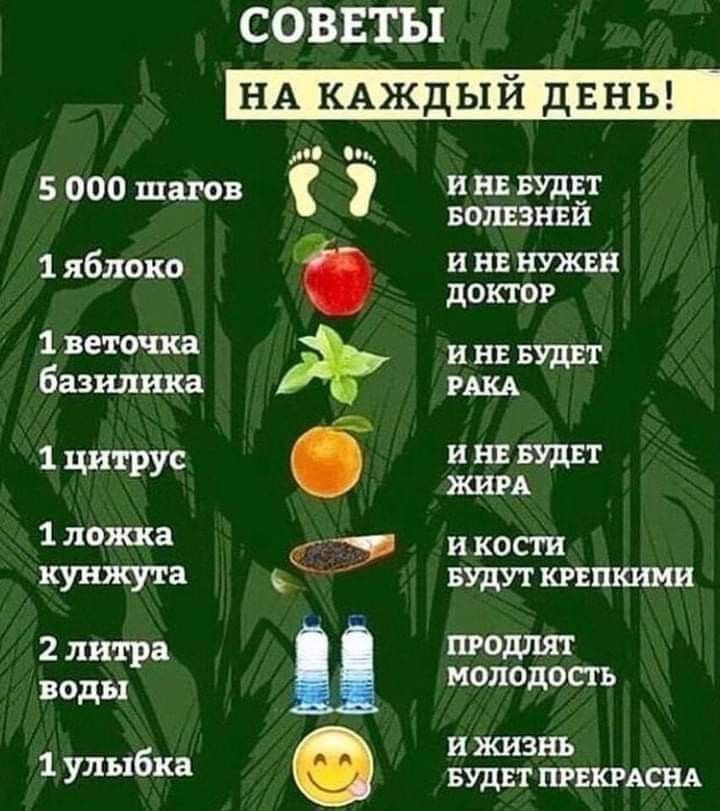 СОВЕТЫ вотвнви 1 яблом и ни нужш допов 1 пташка Щ Буды базъшикд иш 1 цитрус НЕ 1 1 ложка и кот кунжута БУДУТ шпкиии и ткань зудит пикмснд 2 пгошыт 53