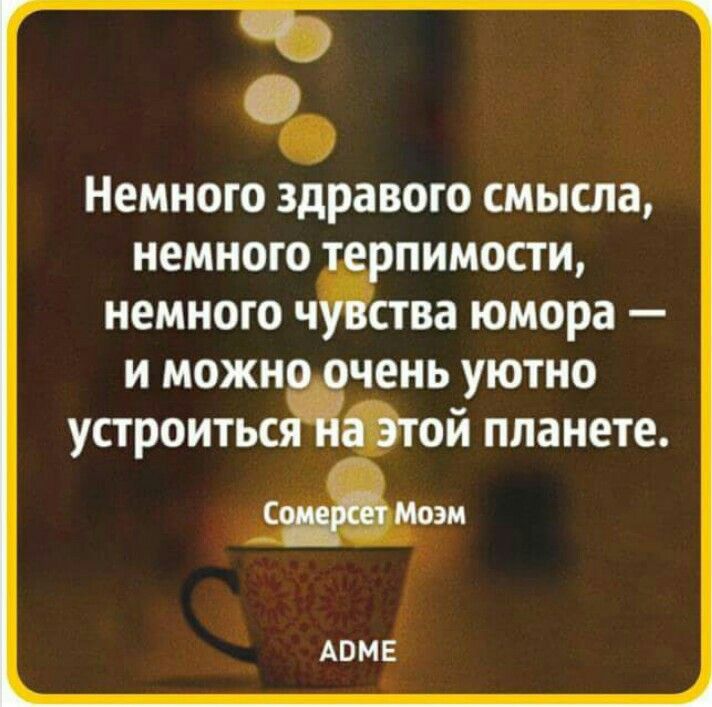 Немного здравого смысла немного пимости немного ч ства юмора и можн чень уютно устроитьс ой планете