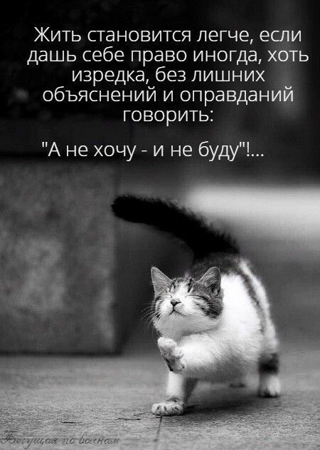 Жить становится легче если дашь себе право иногда хоть изредка без лишних объяснений и оправданий говорить А не хочу и не буду