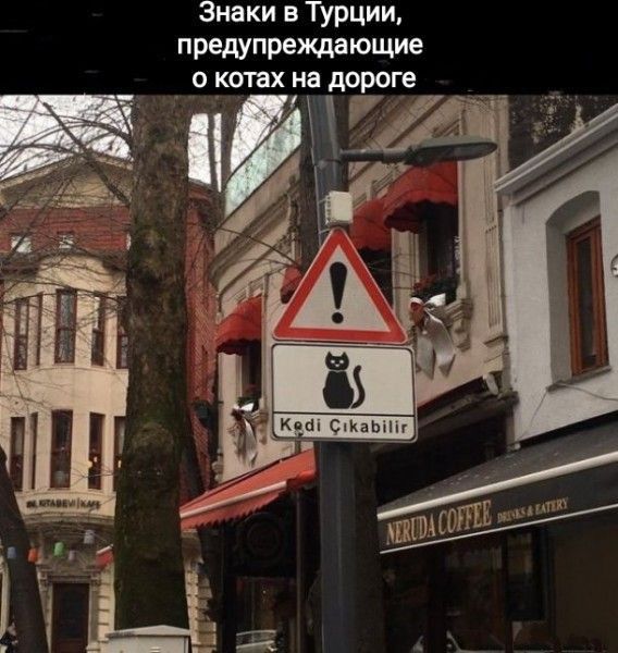 Знаки в Турции пппеду вещающие О КПНХ на ЦОРОГЕ