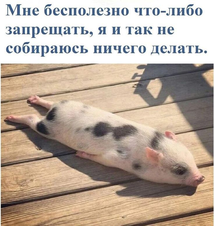 Мне бесполезно что либо запрещать я и так не собираюсь ничего делать