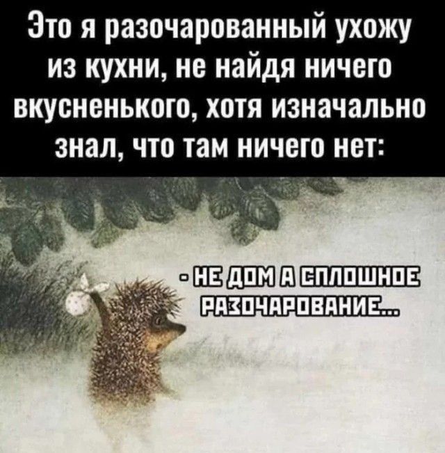 Это я разочарованный ухожу из кухни не найдя ничего вкусненького хотя изначально знал что там ничего нет ПЕЕЕБПШЕШШШ1ШЗ