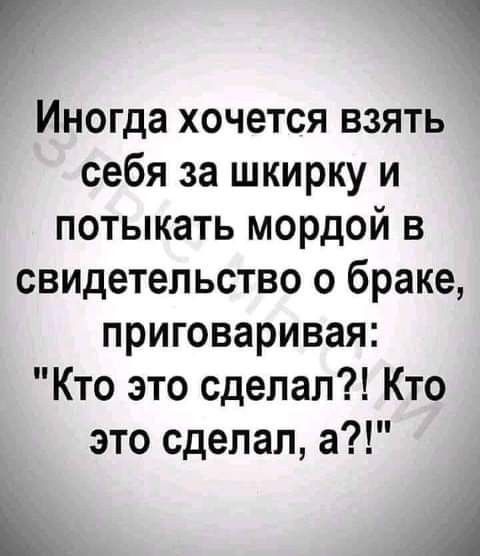 Г Иногда хочется взять себя за шкирку и потыкать мордой в свидетельство о браке приговаривая Кто это сделал Кто это сделал а Ь