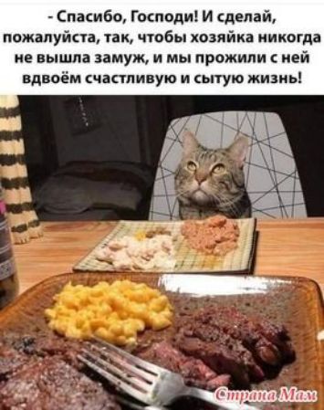 Спасибо Господи И сделай пожалуйста так чтбы хозяйка никогда не вышла замуж и мы прожили ней вдвоём чактпивую и ытую жизнь