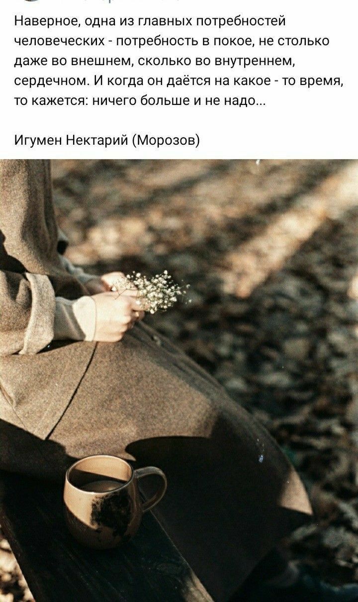 Наверное одна из главных потребностей человеческих _ потребность в покое не столько даже во внешнем сколько во внутреннем сердечном И когда он даётся на какое _ то время то кажется ничего больше и не надо Игумен Нектарий Морозов