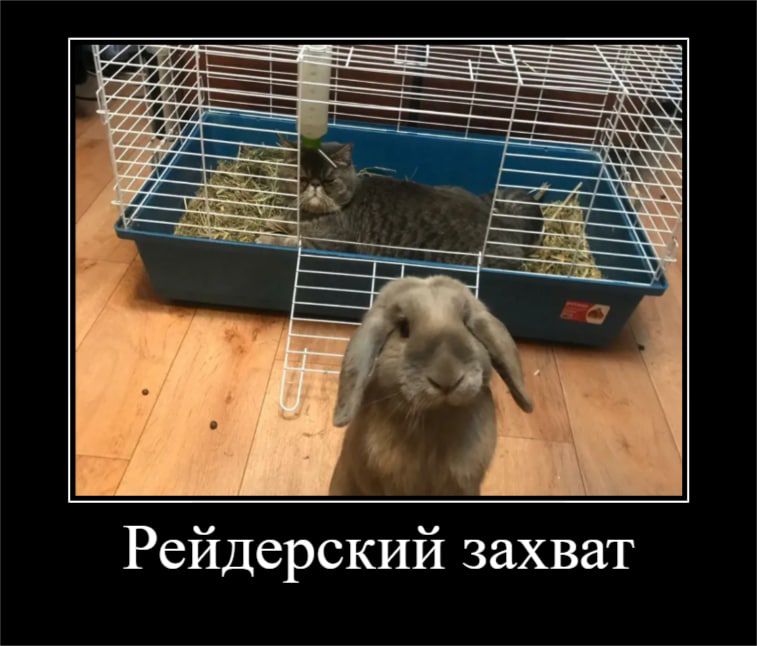 Рейдерский захват