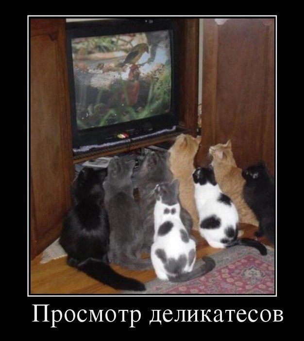 Просмотр деликатесов