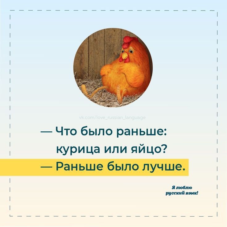 курица ипи яицо