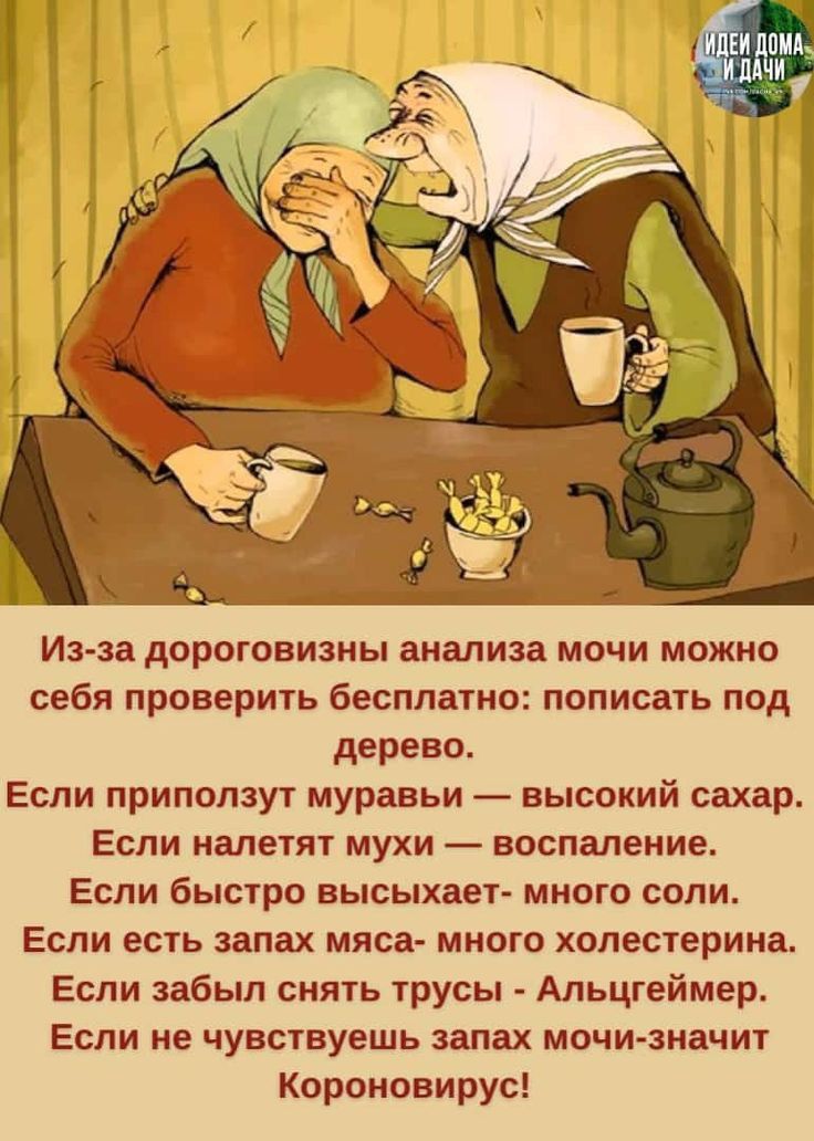 Ист за дороговизны анализа мочи можно себя проверить бесплатно пописать под дерево Если припвпзуг муравьи высокий сахар Если налетпт мухи воспаление Если быстро высыхает много соли Если есть запах мяса много холестерина Если забыл сиять трусы Апьцгеймер Если не чувствуешь запах мочи значит Короновирус