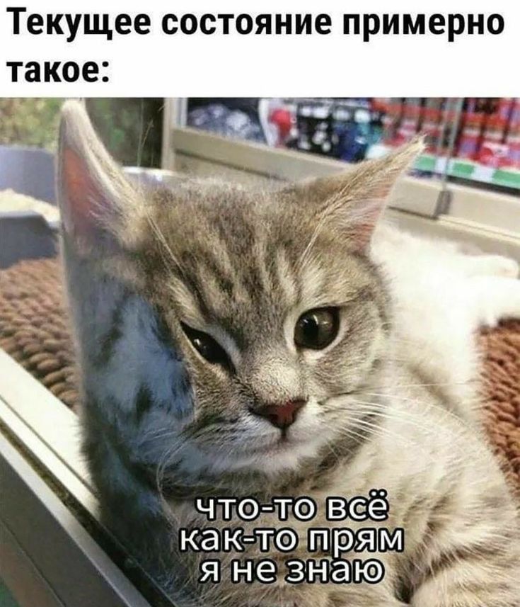 Текущее состояние примерно такое что тр вее как тіупря я нез