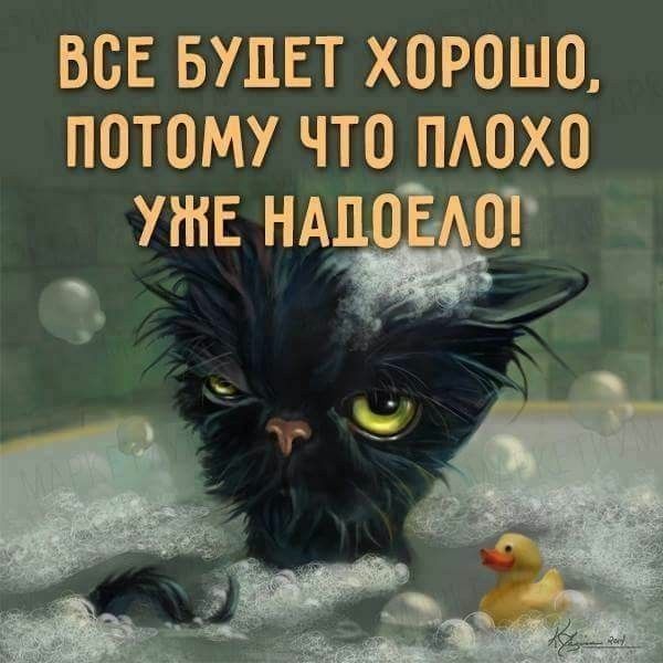 ВОЕ БУДЕТ ХОРОШО ПОТОМУ ЧТО ПАОХО уже _