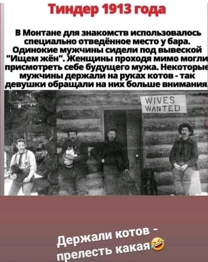Ти 1013 год нисжпиешышкт пани шпт вдйсштуш иии щепищщой ШКЁШ тишщаищимиихшшюшиш