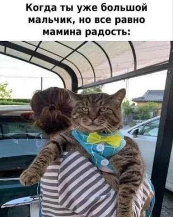 Когда ты уже большой мальчик но все равно мамина радость