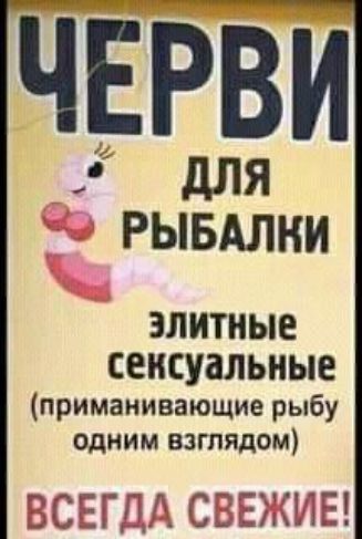 ЧЕРВИ РЫДЛБАЛНИ ЭЛИТНЫЕ СЕНСУдЛЬНЫЕ приманивающие рыбу одним взглядом БСЁЕГДЛ СВЕЖИЕ