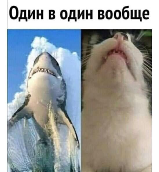 Один в один вообще