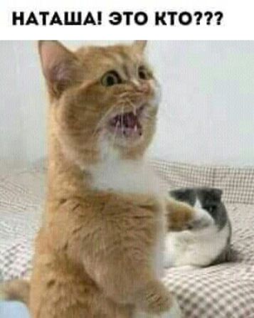 НАТАЩА ЭТО КТО
