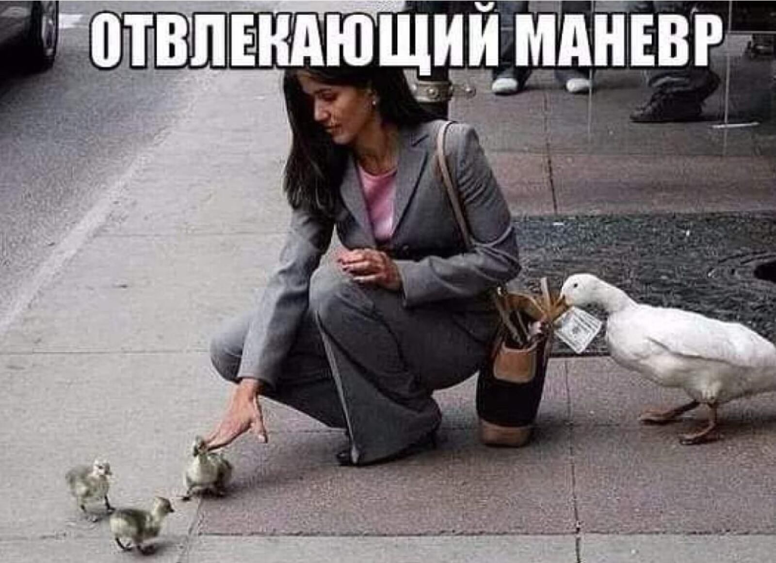 ЮЧИИШАНЕВР