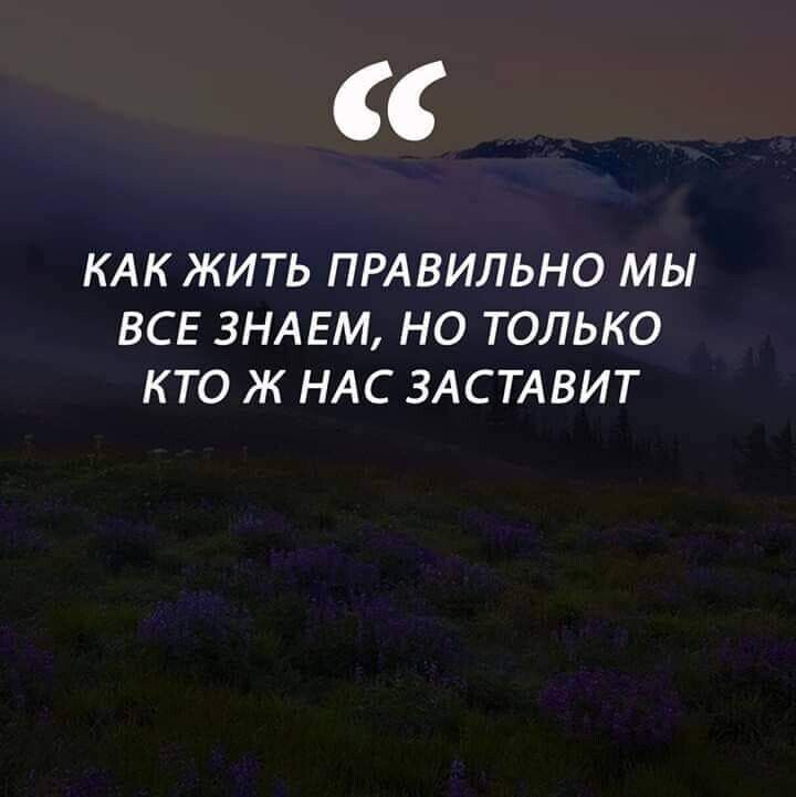 КАК ЖИТЬ ПРАВИЛЬНО МЫ ВСЕ ЗНАЕМ НО ТОЛЬКО КТО Ж НАС ЗАСТАВИТ