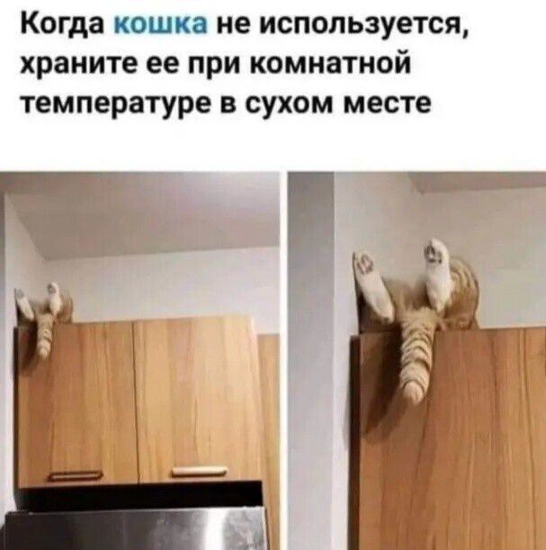 Когда кошка не используется храните ее при комнатной температуре в сухом месте е А