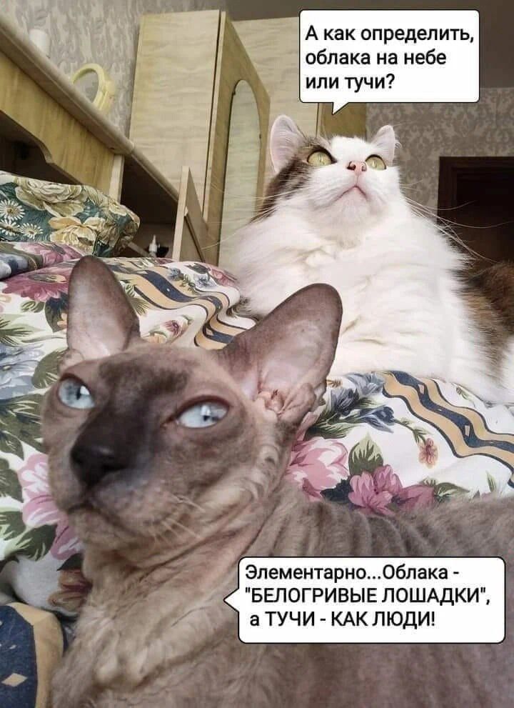 А как определить облака на небе или тучи