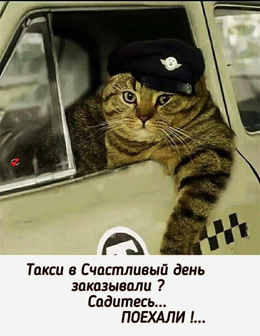 РА Такси в Счастливый день заказывали Садитесь ПОЕХАЛИ