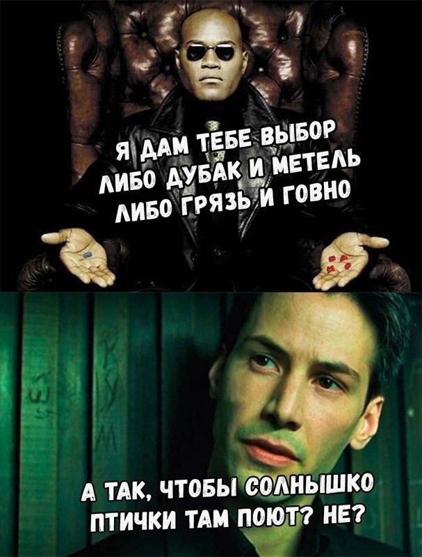 Ё А ТАК ТОВЫ смиышко ПТИЧКИ ТАМ ПОЮТу НЕ
