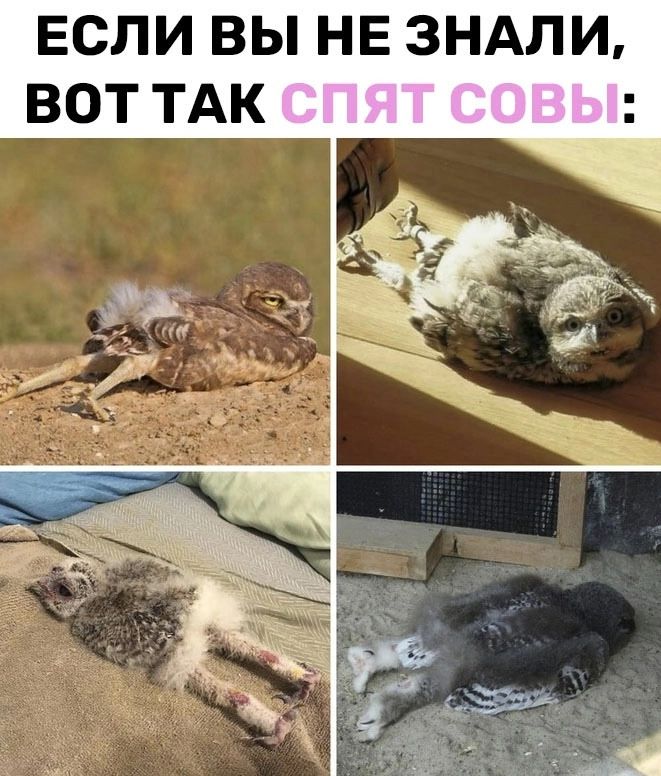 ЕСЛИ ВЫ НЕ 3НАЛИ ВОТ ТАК