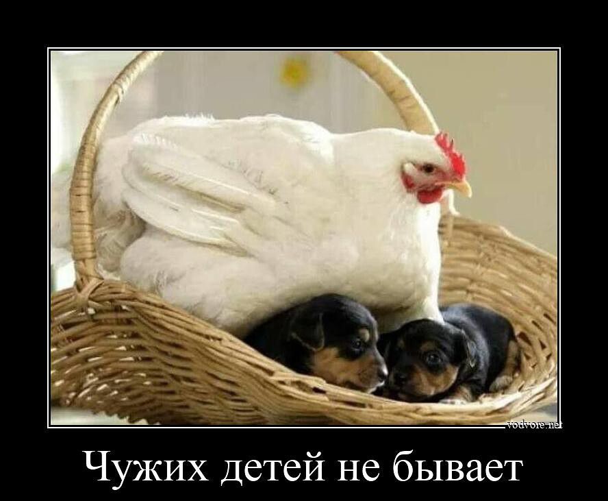 Чужих детей не бывает