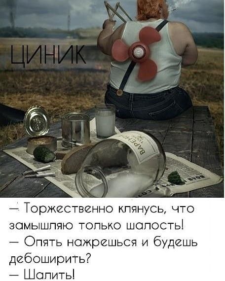 Торжественно клянусь что зомышпяю только шопостьі Опять ножрешься и будешь дебоширитъ Шопить