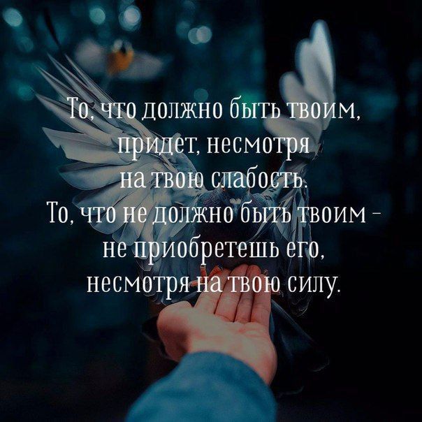 60 Т _ чнобь оимй неги об етешь о несмотр силу