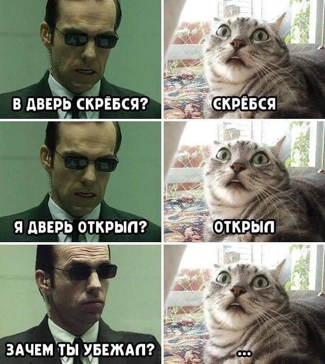 1 в АВЕРЬ КРЁБСЯ