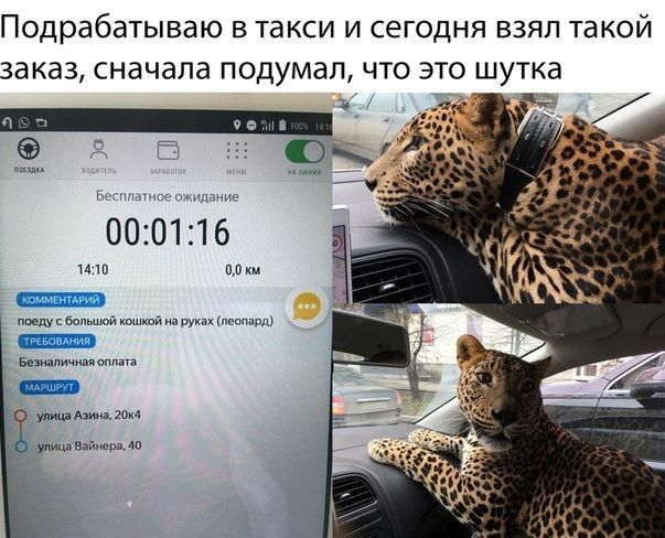Подрабатываю в такси и сегодня взял такой заказ сначала подумал что это шутка 000116 и