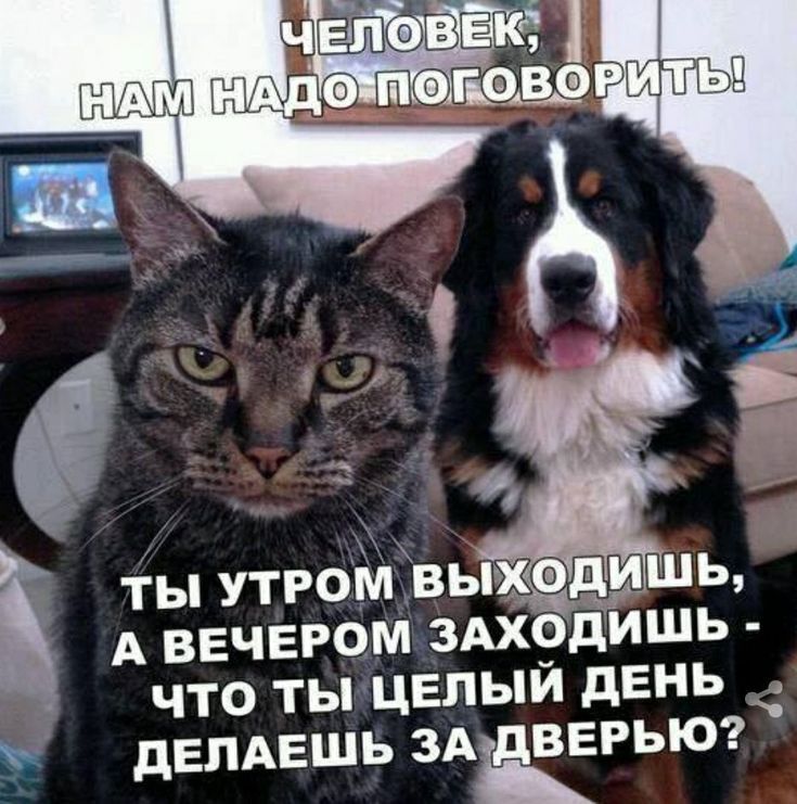 А ВЕЧЕРОМ 3АХ9дИШЬ ЧТО ТЫ ЦЕПЫИ дЕНЬ дЕЛАЕШЬ ЗА ВЕРЬЮ ты утгоМвы ед шь