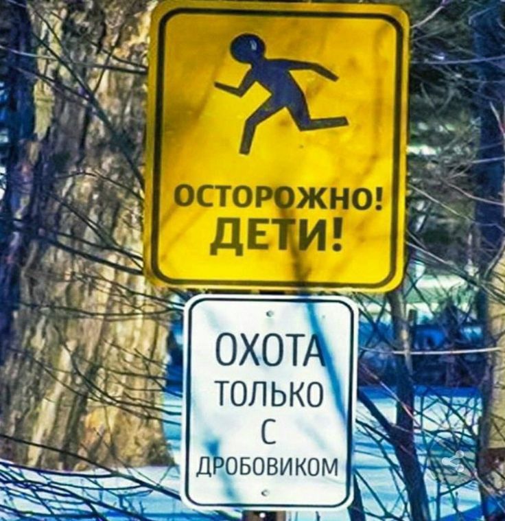 С ДРОБОВИКОМ О К Ь Л О Т