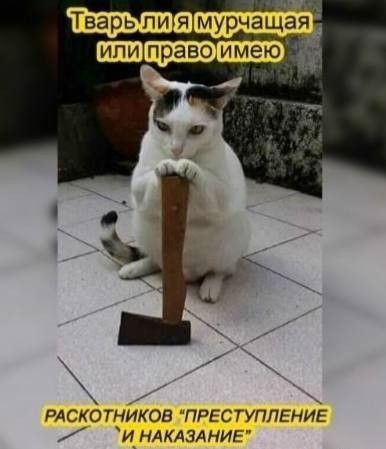Щ КАЧИЮЛ ПР У ИГ И НАКАЧАНИ