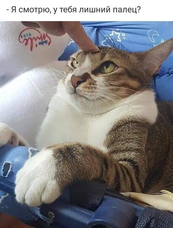 _ Я смотрю у тебя лишний палец
