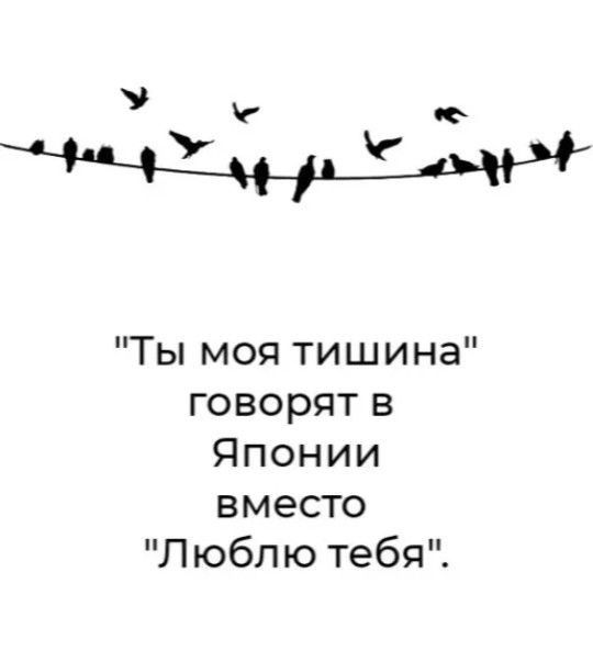 Ты моя тишина говорят в Японии вместо Люблю тебя