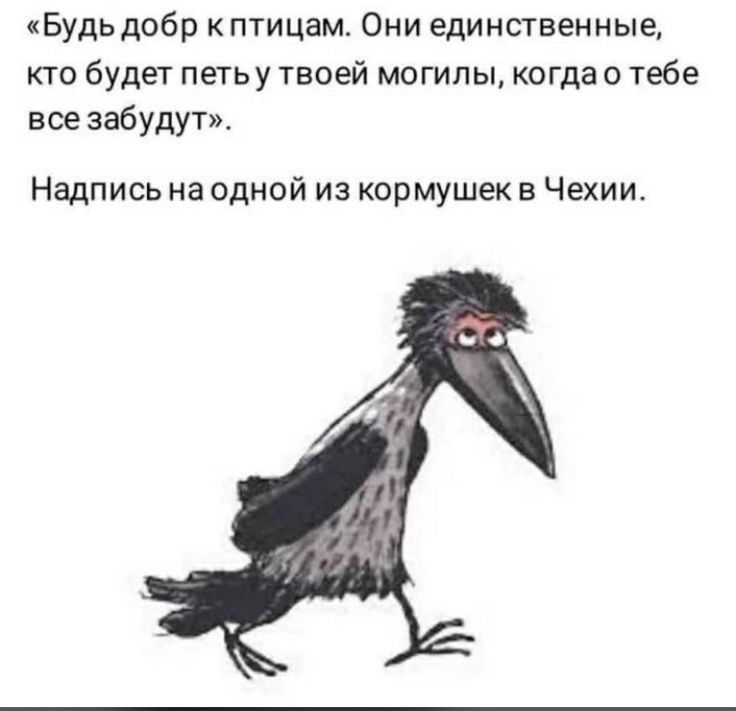 Будь добр к птицам Они единственные кто будет петьу твоей могилы когдас тебе вое забудут Надпись на одной из кормушек в Чехии