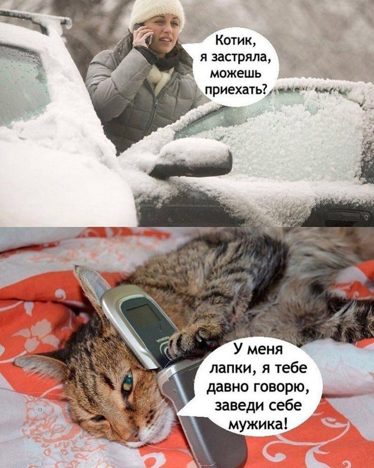 Кочиш я застряла мджешь _ приехагьідипп У меня папки я тебе давно говорю заведи себе