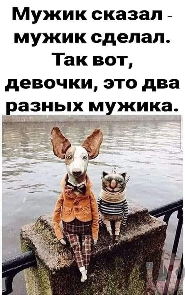 Мужик сказал мужик сделал Так вот девочки это два разных мужика 7 __