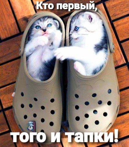 Кто первый