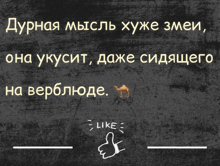 Дурная мысль хуже змеи она укусит даже сидящего на верблюде 4 ЦКЕЕ