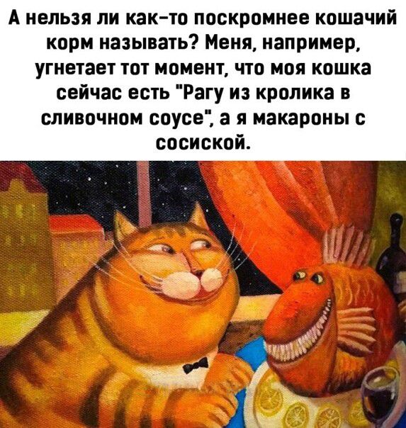 А нельзя ли как то поскромнее кошачий корм называть Меня например угнечает тот момент что моя кошка сейчас есть Рагу из кролика сливочном соусе а я макароны с сосискпй