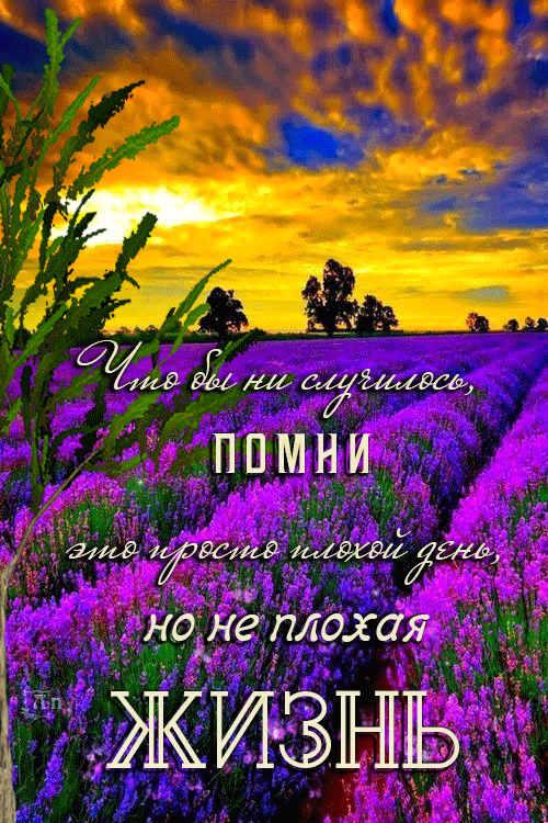 64441 Ьадшид 1Й но _не плохая Г ЖИЗНЬ