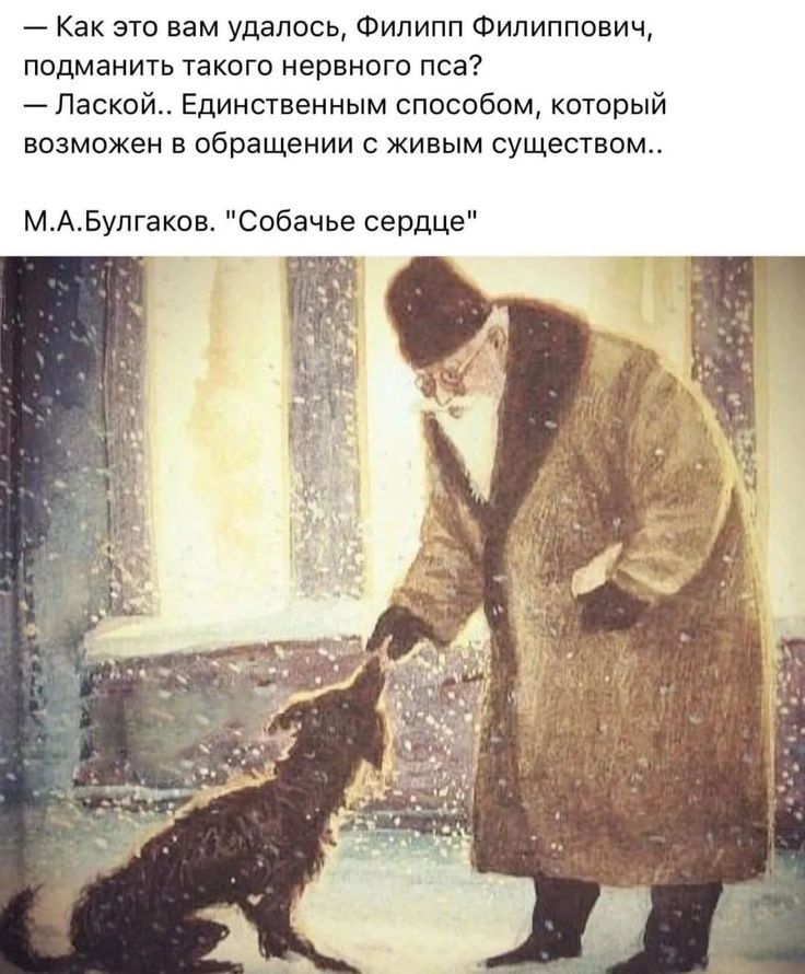 7 Как это вам удалось Филипп Филиппович подманить такого нервного пса Паской Единственным способом который возможен в обращении с живым существом МАБулгакон Собачье сердце