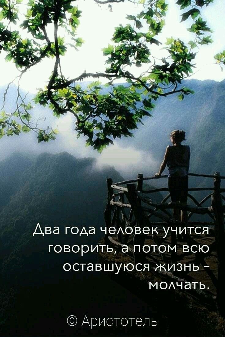 Два года чвАовек учится говорить а потом всю оставшуюся жизнь МОАчать Аристотель