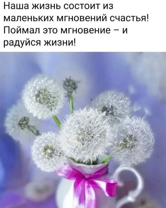 Наша жизнь состоит из маленьких мгновений счастья Поймал это мгновение и радуйся жизни Т