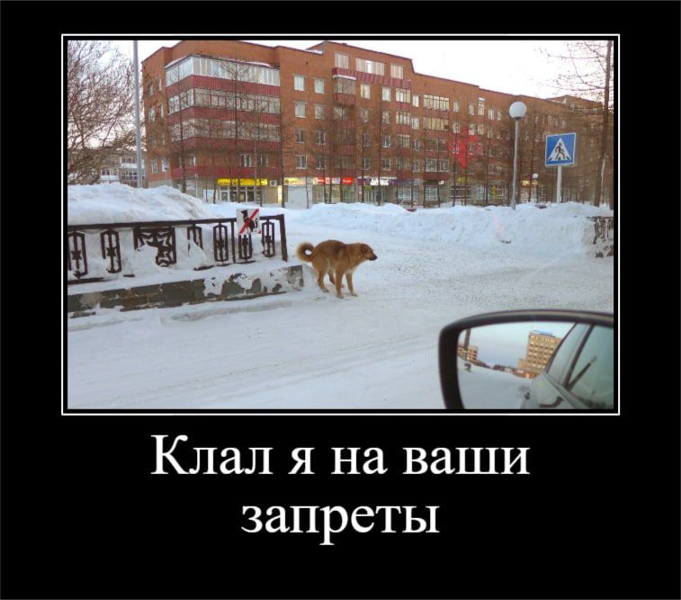 Клал я на ваши запреты