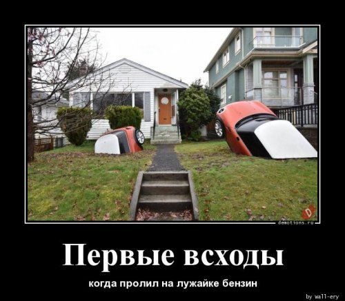 1 Первые всходы тд првпип уж яи Биаии